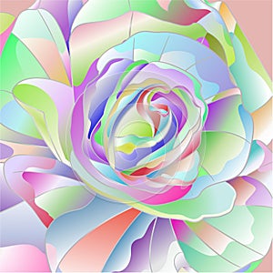 Detail multicolored rose watercolor vector illustration editable hand draw