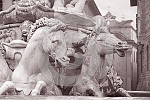 Detail on Neptune Fountain - Fontana di Nettuno by Ammannati (1565), Florence photo