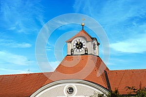 Detail of the Nymphenburg Palace - Munich Germany