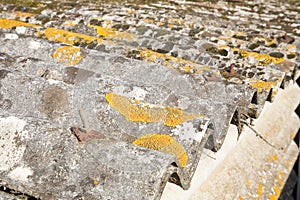 Detail of an old aged dangerous roof made of corrugated asbestos panels - one of the most dangerous materials