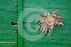Detail of old green village door with a dried thistle flower.