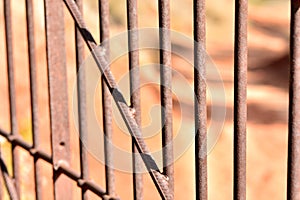 Iron bars forming a fence photo