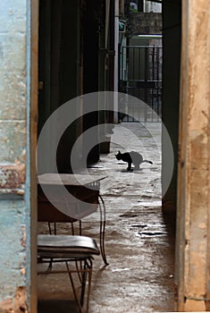 Detail in Old Havana, Cuba