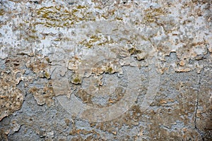 Detail of an old medieval wall, texture