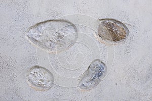 Detail of an old wall, highlighting the primitive stones photo