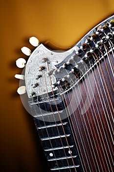 Detail of old zither instrument