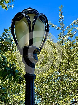 Detail of one of the 1,600 lampposts in New York\'s Central Park.