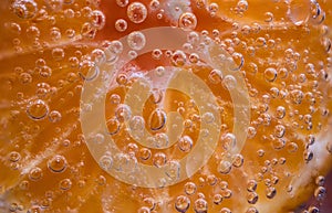 Detail of orange slice in sparkling water.