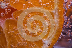 Detail of orange slice in sparkling water.