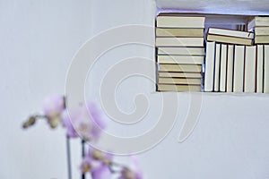 Detail of an organized stack of books in a white textured wall of a country house with copy space, unsharp orchid in the