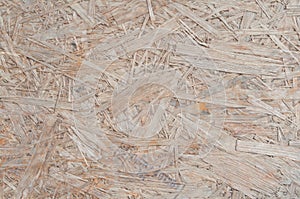 Detail of oriented wood board texture