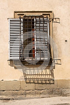 Detail of ornate wrought iron window security