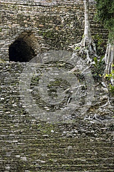 Detail of the overgrown Mayan pyramid of Dzibanche