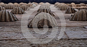 Detail in overhead perspective and pattern of bas-relief moldings of the rock shells of the facade of La Casa de las Conchas in