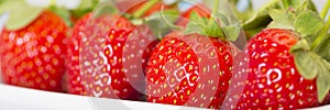 Detail of panaromic strawberry photo