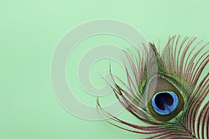 Detail of peacock feather eye on dreen background. Luxury Abstract Texture for Peafowl wallpaper, blue-green color. Indian Male