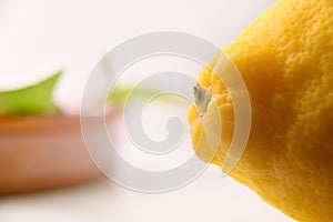 Detail of the pedicel of the lemon