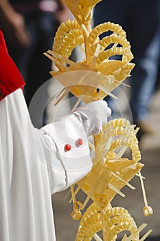 Detail penitent holding a palm during Holy Week on Palm sunday