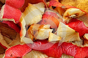 Detail photo - fruit peels, mostly apples - home composting photo