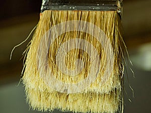 Detail photo of paint brush bristles