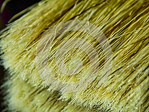 Detail photo of paint brush bristles