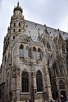 Detail, photographed from the side, of the beautiful Vienna cathedral. The Gothic guglielmo are stretched out in the blue sky.