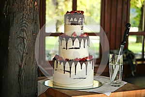 A detail picture of the big wedding cake