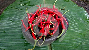 Detail of a pile of dark red chilies on a mortar with a banana leaf base