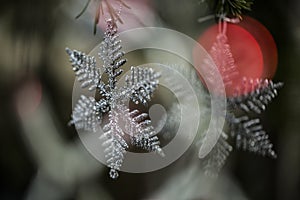 Detail of the pine tree with decoration