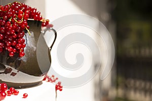 Detail of Pitcher/jug of redcurrant on a direct sunlight on a window