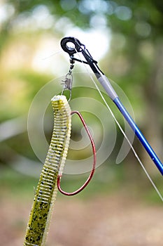 Detail of plastic worm and weedless hook rig
