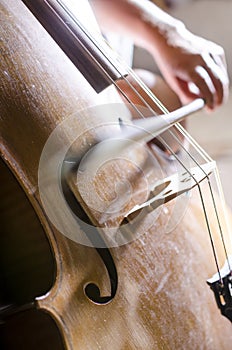 Detail of playing cello