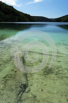 Detail of Plitvice National Park