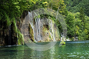 Detail of Plitvice National Park