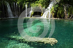 Detail of Plitvice National Park