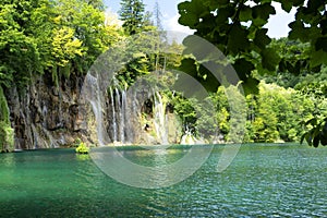 Detail of Plitvice National Park