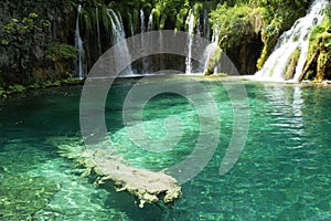 Detail of Plitvice National Park