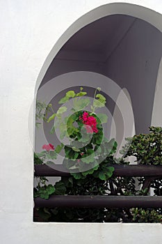 Detail of popular architecture and decoration in Conil, Cadiz 23