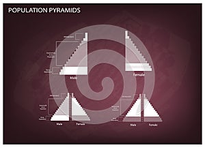 Detail of Population Pyramids Graphs Depend on Age and Sex