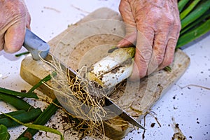 Detail of the preparation of calÃÂ§ots or tender onions photo