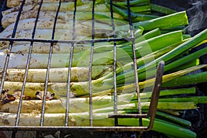 Detail of the preparation of calÃÂ§ots or tender onions photo