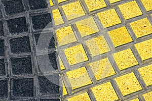 Detail of the Rambla mosaic photo