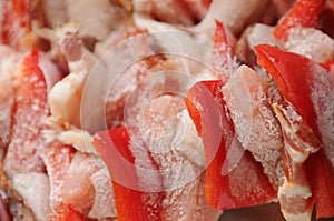Detail of raw raznjici with colorful red pepper, frozen, prepared for grill