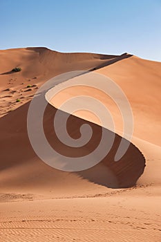 Detail of a red dune in the Rub al Khali desert with a wavy line, Oman.
