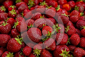 detail of red and fresh strawberies