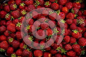 detail of red and fresh strawberies