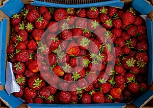 detail of red and fresh strawberies