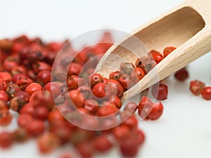 Detail of red peper and wood object