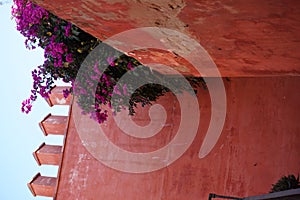 Detail of red plastered wall with purple flowers above, Seville