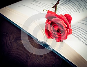 Detail of red rose on the open book with space for text, old style